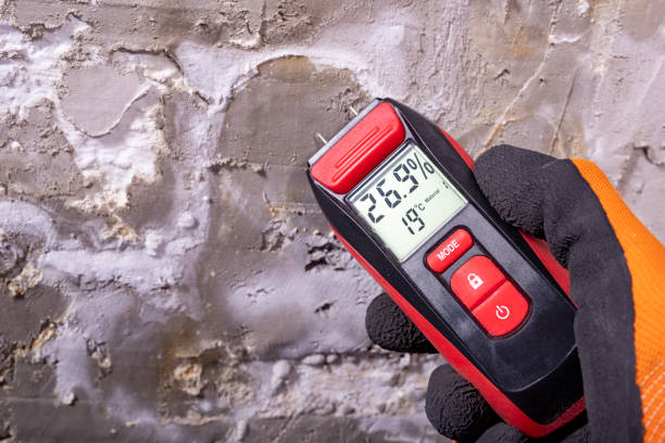 Best Commercial Mold Removal  in Maud, TX