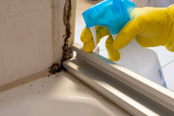 Crawl Space Mold Removal in Maud, TX