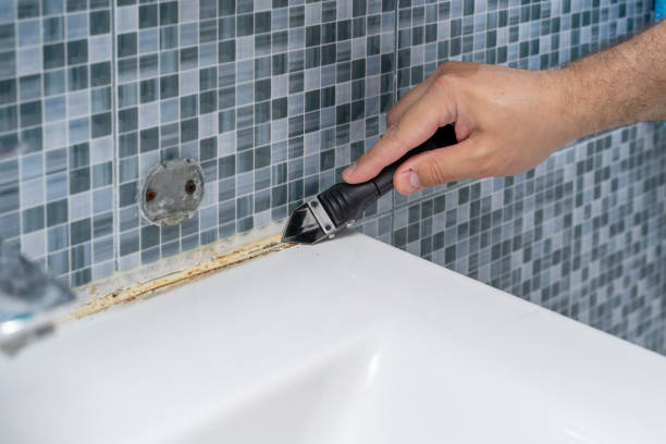 Best Mold Removal Company Near Me  in Maud, TX