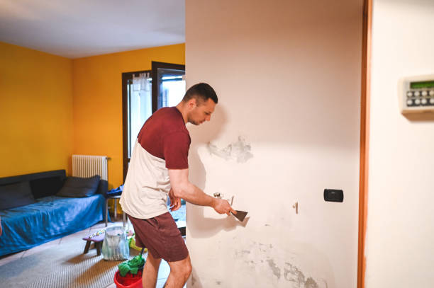 Best Fast Mold Removal  in Maud, TX